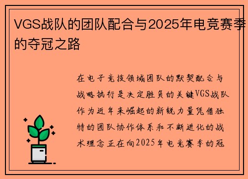 VGS战队的团队配合与2025年电竞赛季的夺冠之路