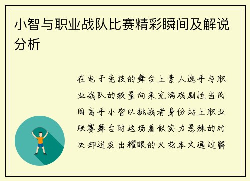 小智与职业战队比赛精彩瞬间及解说分析