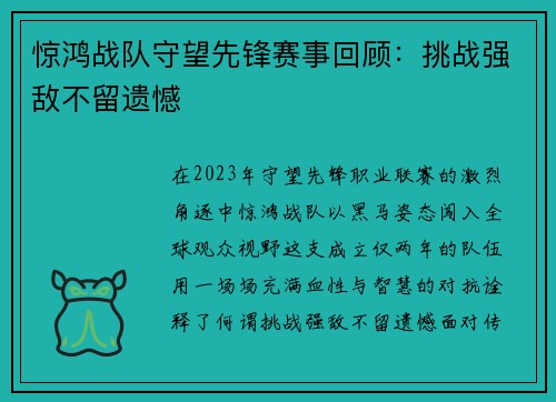 惊鸿战队守望先锋赛事回顾：挑战强敌不留遗憾
